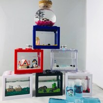 마리모세트 피규어구성 led마리모 마리모밥증정, 옵션6