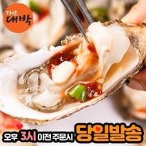 최상급 통영 하프셀 제철 생굴 반각굴, 1box, 하프셀 2단 (60미 내외)