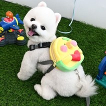 패리스독 귀여워 백팩 하네스 리드줄포함