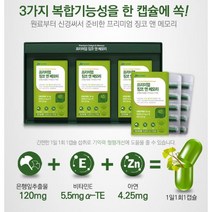 프리미엄 징코 앤 메모리 두뇌 인지력 기억력 영양제 손발저림 혈행개선 수험생 청소년 갱년기 60대 70대 기억력 집중력 은행잎추출물 혈액순환, 90캡슐(3개월) x 2개