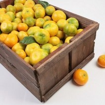 꿀꿀도매 극조생 타이백 감귤 3kg5kg10kg, 1개, 극조생타이백-5kg(프리미엄과(S))