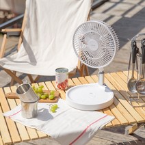라이프썸 무선 접이식 BLDC 선풍기(LFS-HA40), 화이트, LFS-HA40