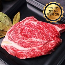 [웰굿][냉장][숙성육]1++등급 숙성한우 등심1kg, 1개