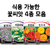 식용 가능 꽃씨앗 4종 한련화 씨앗 카모마일 씨앗 보리지 씨앗 메리골드 씨앗 꽃씨앗 꽃씨몰 꽃씨 봄 여름 가을 사계절 파종 꽃씨