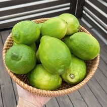 제주삼촌 햇 레몬 깨끗한 국내산 제주 청레몬 그린레몬 10kg 5kg 3kg, 제주 레몬 3kg