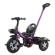 Maidou 유아 어린이 3살 4살 5살 세발 유모차 자전거, 티타늄 빈 휠 빅 S 퍼플