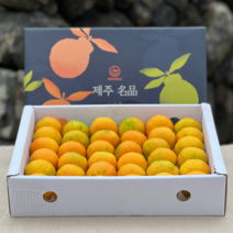 제주 맛있는감귤 노지감귤 초고당도 효돈감귤 1BOX, 감귤선물세트 3kg (로얄과), 선물용 1 BOX, 3kg