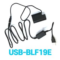USB-BLF19E 파나소닉 GH4 GH5 GH5S 용 더미배터리