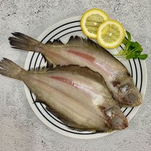 반건조가자미 10마리 (2마리 5팩) 진공포장, 10미(2미 5팩), 반건조가자미10마리 1.5kg내외
