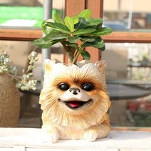 귀여운 개 화분 헤드 꽃 씨앗 화분 즙이 냄비와 경작 정원 장식 야외 화분, 하나, 보여진 바와 같이