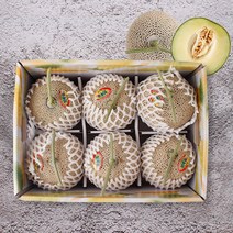 감동 [감동]머스크 멜론 6수 6.5kg 내외 공유하기 페이스북 트위터 닫기