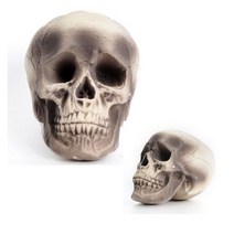 무대소품 과학관 할로윈 행사 해골소품 1+1 성인 유아