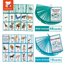 더블테마 어린이 영어 단어 플래시 카드 조기 교육 장난감 유아 영어 학습 카드, Version 5