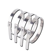 견고한 스테인레스 스틸 호환 201 금속 잠금 타이 배기 파이프 조인트 케이블 덕트 인터페이스 4.6X130-600, 한개옵션1, 04 4.6x250 10pcs