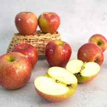 [더조은푸드] 새콤달콤 경북 아리수 사과 (가정용) 3kg / 부사 / 아오리 / 홍로, 아리수 사과(가정용) 3kg 15-18과