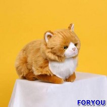 위더펫 리얼 고양이 인형 페르시안 친칠라-브라운/봉제인형/반려묘인형/위더펫/동물인형/고양이인형/petdoll/진짜같은고양이인형/반려동물인형/인형, 1