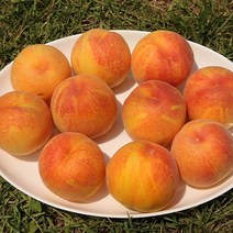 햇사레 장호원 황도복숭아 4kg 14-16과, 없음, 상세 설명 참조