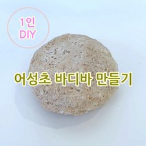 [더위치]1인 DIY 어성초 약산성 바디바 만들기 키트 비대면 교육 자연 비누 bodybar