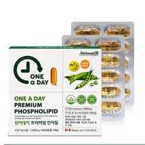 네추럴라이즈 원어데이 프리미엄 인지질 NON-GMO 대두레시틴, 1. 90정, 4박스