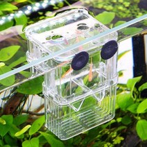 어항 물고기 열대어 구피 치어 흡착식 부화통, 부화통어항/소형