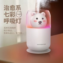 가정용 미니 USB 충전 탁상 수분을공급 귀여워지다 곰돌이 선인장 있음 레인보우 야간등 x2개 2633717224, 곰돌이 화이트