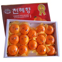 천혜향 3kg 명절부모님 선물 제주특산물, 99
