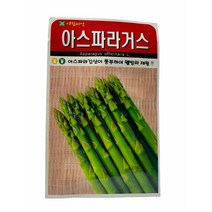 아스파라거스 씨앗 50립 아람