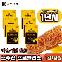 종근당건강 호주산 호주 프로폴리스 아연 2개월분 propolis zinc flavonoid, 6박스