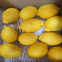 덤앤덤제주, 제주 레몬 2kg 대과 (7~10개내외)