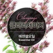 몰드몰 ( 에센셜오일 ) 클라리세이지 Clary Sage E.O, [ 500ml ]