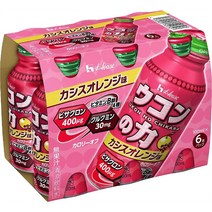 일본 H House UKON 하우스 유콘 투메릭 커큐민 숙취해소 에너지 드링크 오렌지 100ml 6캔