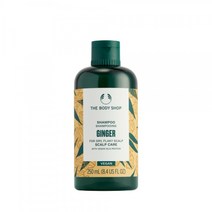 더바디샵 진저 스캘프 케어 샴푸 250ML