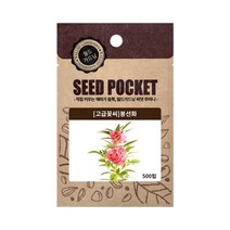 월드가드닝 봉선화 씨앗, 단품
