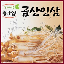 금산인삼 무료세척 세척인삼500g 세척인삼난발삼 세척인삼원수삼500g, 1팩, 무료세척 세척원수삼 튀김용/삼계탕용 소500g(30~45뿌리)   새 상품   새