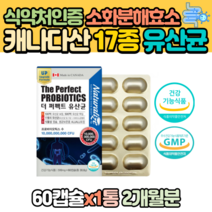 캐나다 17종 유산균 소화분해효소 프리바이오틱스 불가리쿠스 2개월분