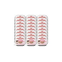 로얄캐닌 고양이사료 마더앤 베이비캣 캔 습식사료 100g X 24P