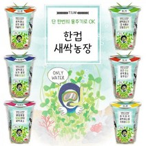 한컵새싹농장 씨앗키우기 6종 / 새싹기르기 모종키우기 씨앗 꽃 재배, 다채