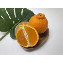 써니트 한라봉 제주 한라봉 프리미엄과일 한라봉박스 가정용 중소과 중대과 3kg 10kg, 1개, [특가] 가정용/10kg/중소과/46~55과