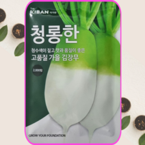 김장무 청롱한무 씨앗 2000립 무우씨앗 채소 종자, 1개