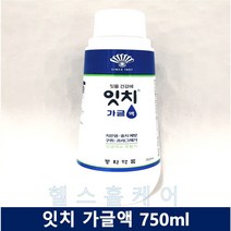 잇치 가글액 750ml 동화약품 [약국정품]