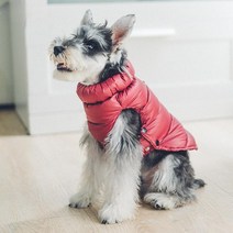 강아지 패딩 조끼 경량 패딩 다운 점퍼 베스트, 레드