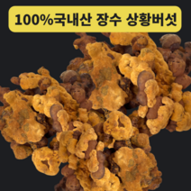 상황버섯 차 진액 국내산 100% 프리미엄 장수상황버섯 절편 당뇨에좋은, 1개 x 250g