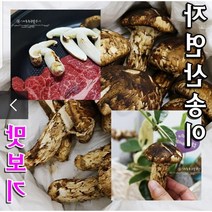 2023년 고급 자연산 송이버섯, 20개미만