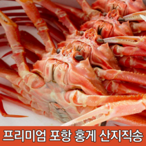 [자숙홍게] 홍개 홍게파지 감동농수산물 후포홍게 강원도홍게 동해홍게살 포항 연지 홍게 택배 홍게당일배송 속초 라면용홍게 자숙홍게 구룡포 연지 라면 육수용 홍게, 자숙 일반형홍게 (소/중)10마리