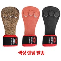 JAYART18_썬버드 3구 헬스 역도 장갑 850 밴드부착형 랜덤 다용도 그립운동장갑 벤치 용품 프레스+jac230126, ( 주)제이아트_단일옵션