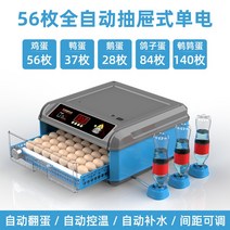 자동 부화기 서랍형 고급 디지털 병아리 부화기 24란, M