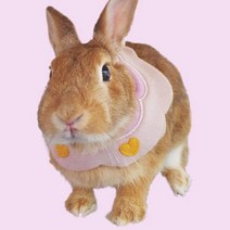 강아지 턱받침 고양이 목도리 케이프 산책 촬영 B 소 강아지한복케이프 강아지화관 고양이크리스마스옷 애견목