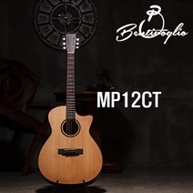 벤티볼리오 MP12ct / Bentivoglio MP12ct / 장범준 기타, 픽업추가