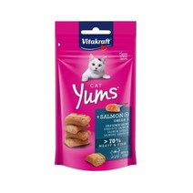 비타크래프트 캣얌 연어 40g [반려묘무설탕영양간식], 1개