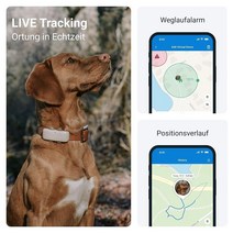 Tractive 반려견 방수 GPS 추적기 커피 컬러 위치 활동 무제한 범위 목 칼라 부착 1277757